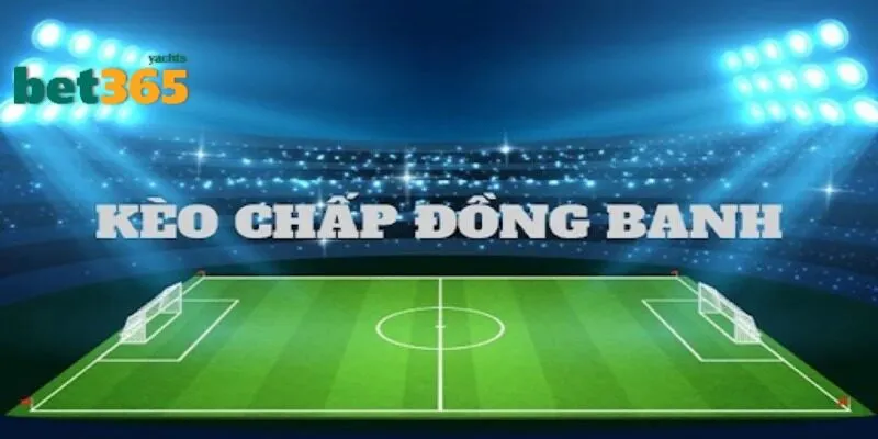 Bí kíp chơi kèo chấp hòa hiệu quả cho tân binh